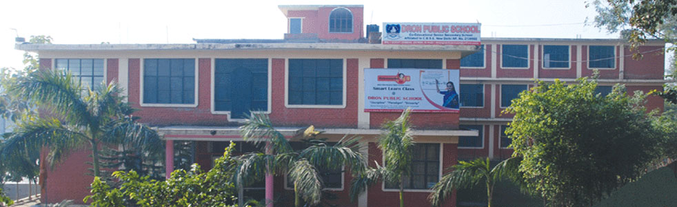 Dron Public School