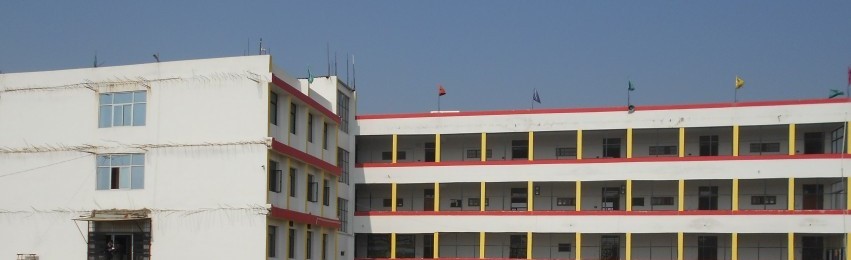 D V M Public School