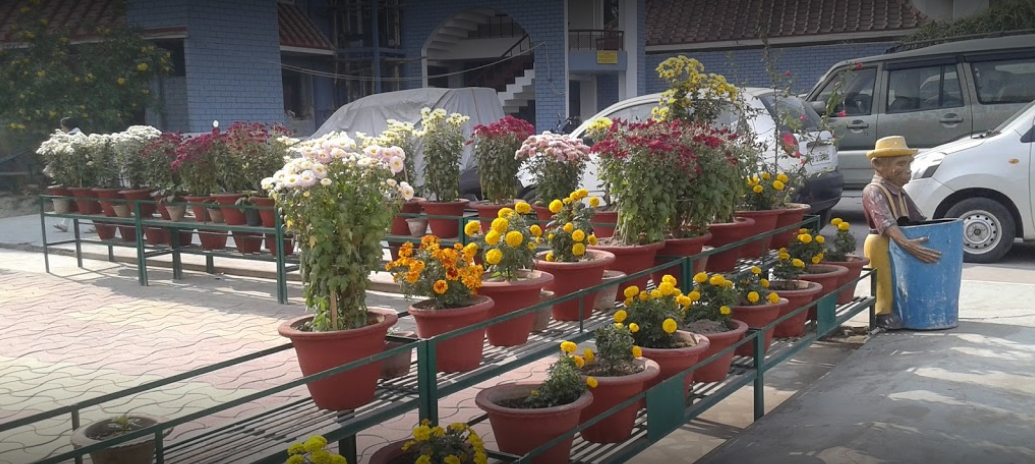 Gurukul Academy