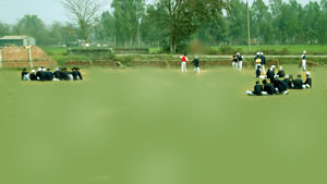 Holy Sapience School