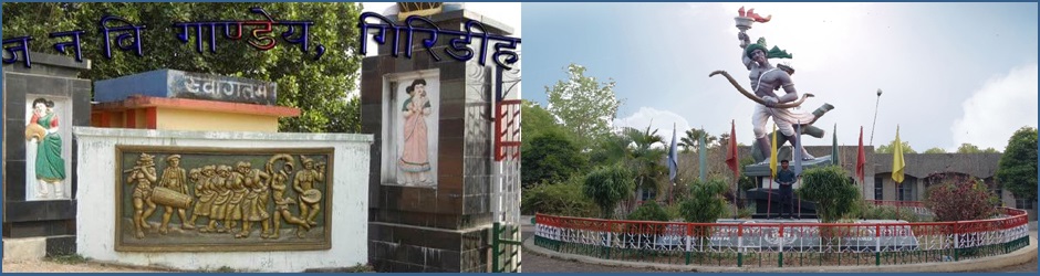 Jawahar Navodaya Vidyalaya
