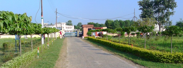 Jawahar Navodaya Vidyalaya