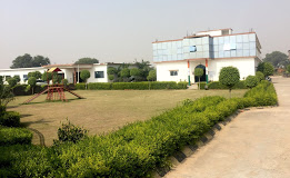 J.s Public School