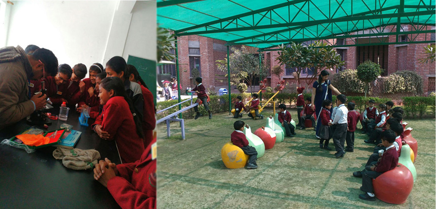 Krishna International School