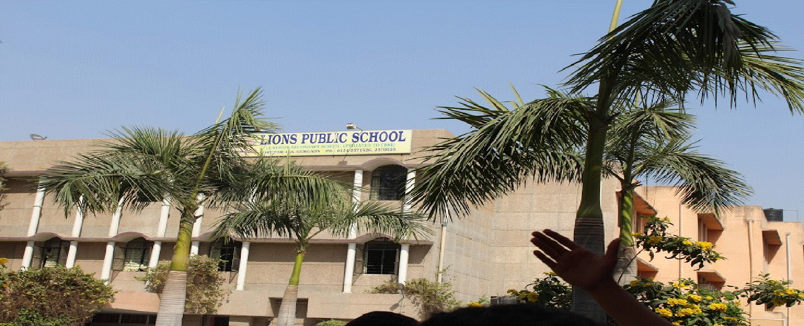 Lions Public School