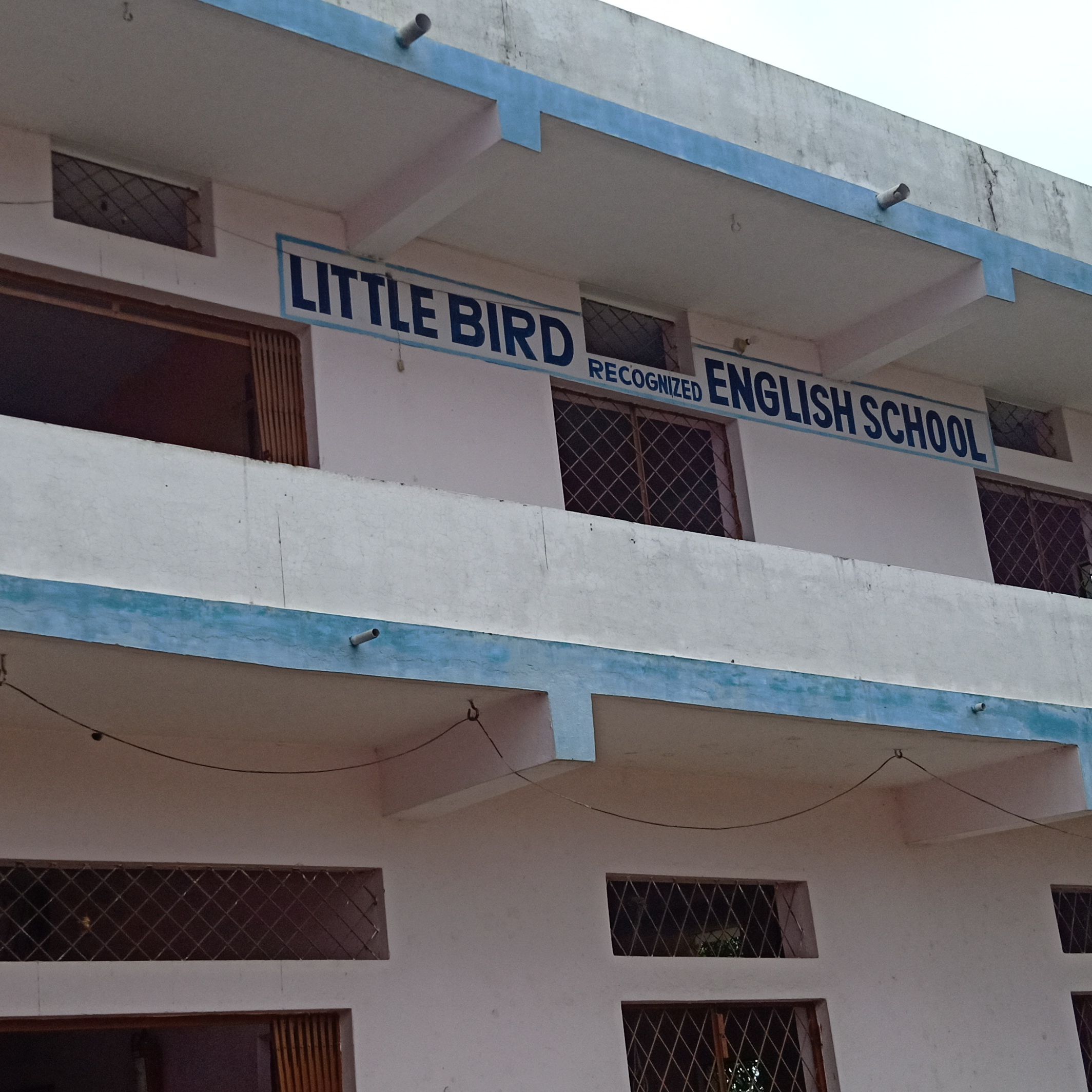 Little Bird School
