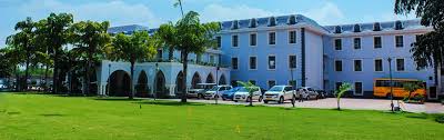 Little Wonders Convent School