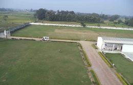 M P Public School