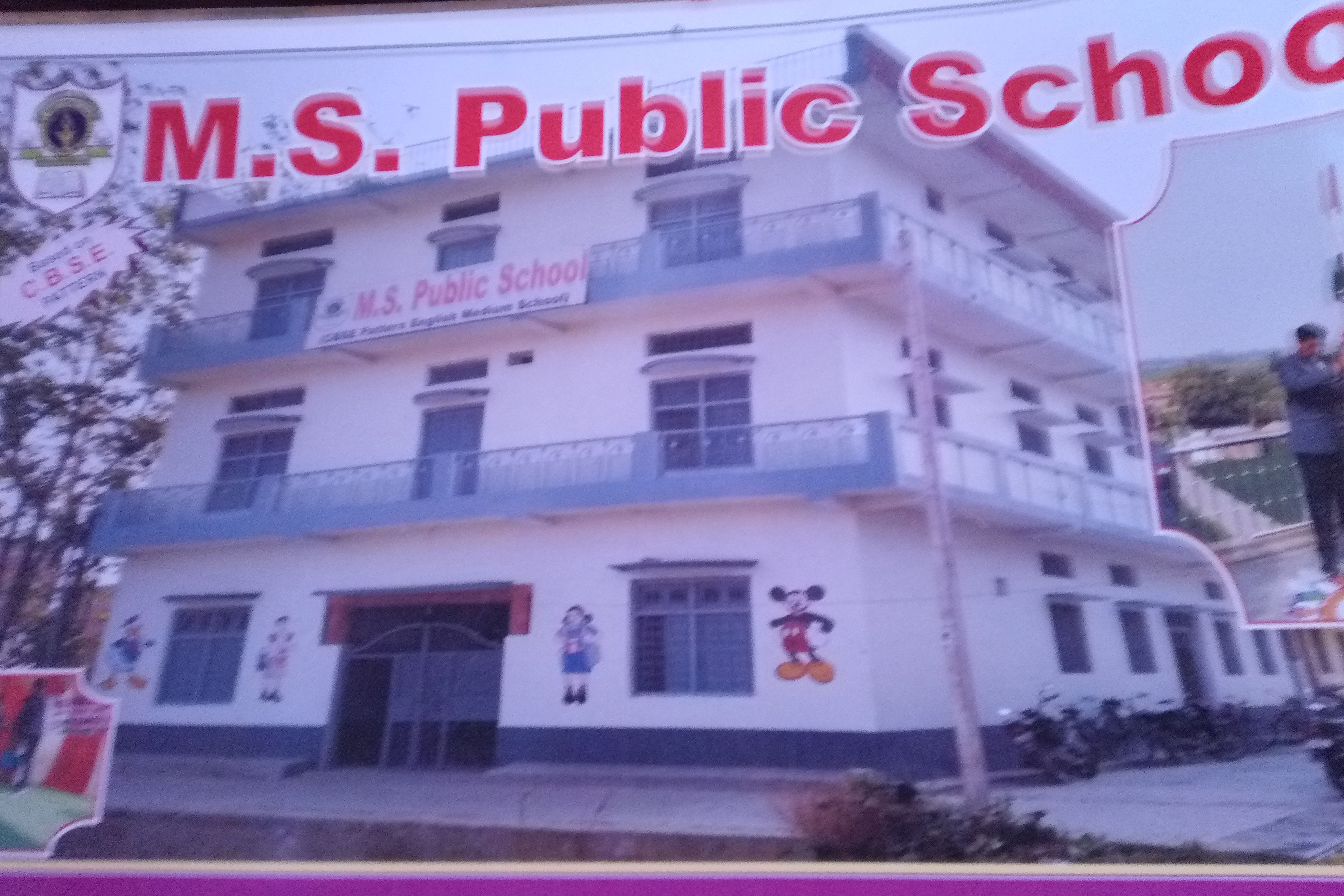 M S Public School