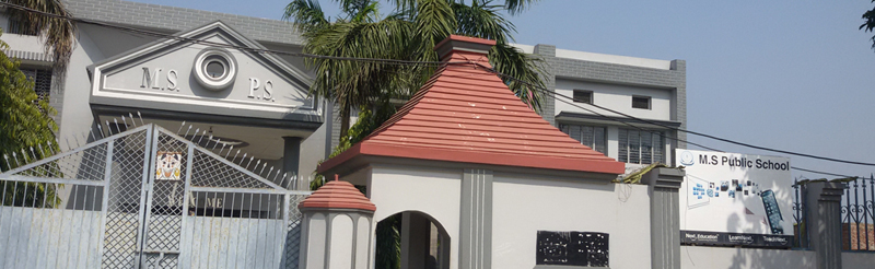 M S Public School