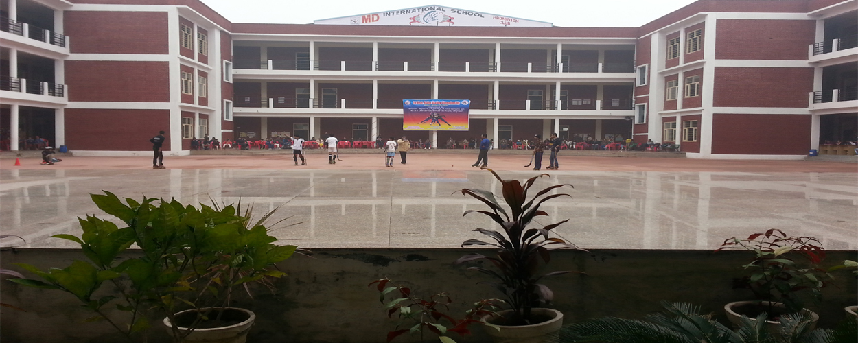 M.d. International School