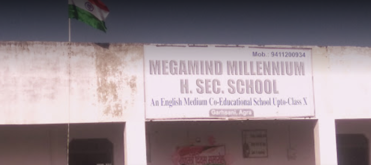 Megamind Millennium Hs School