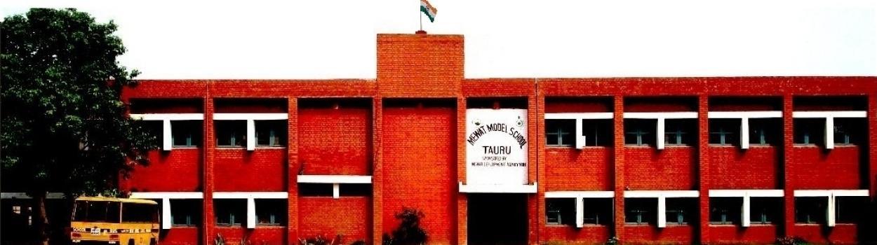 Mewat Model School