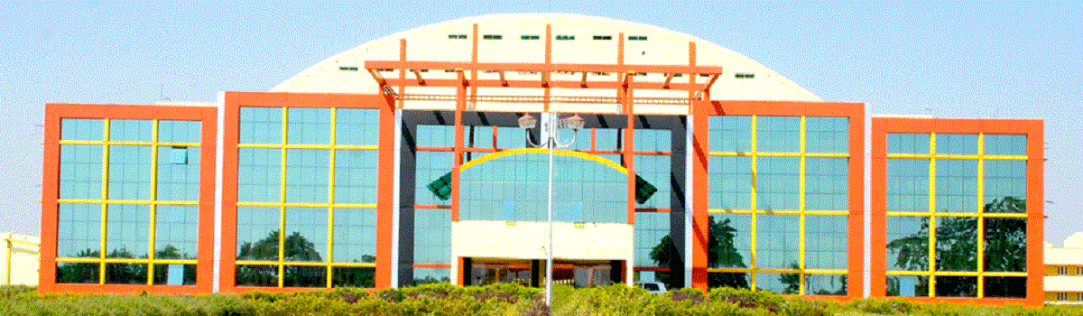 Mintu International School