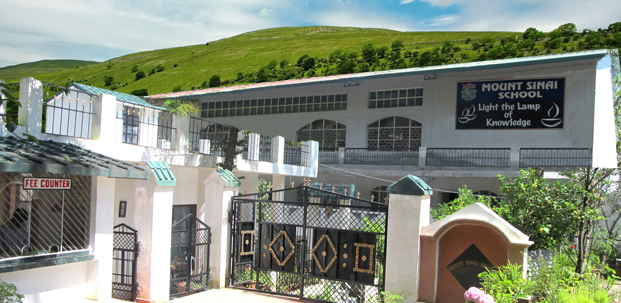 Mount Sinai School