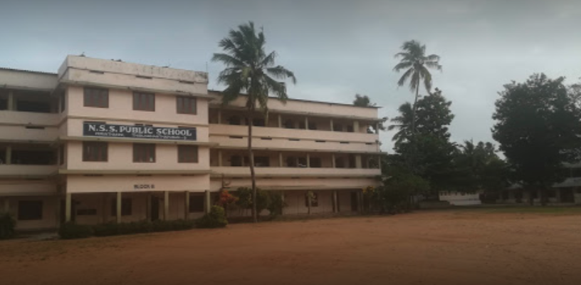 N S S Public School