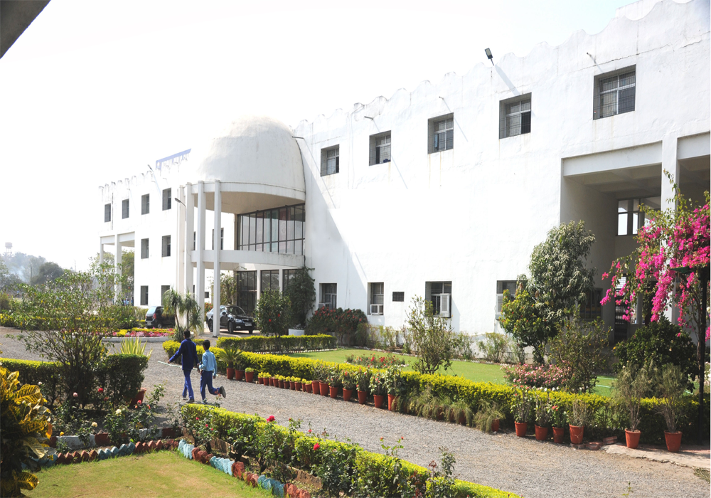 National Public School