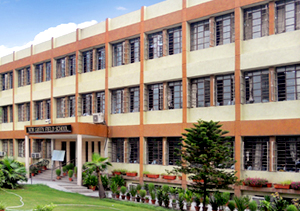 New Green Field School