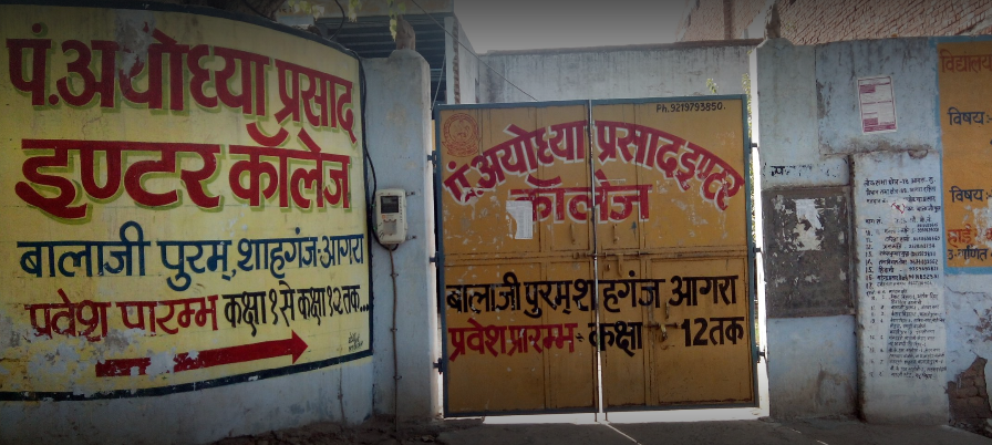 Pandit Ayodhya Prasad Inter College