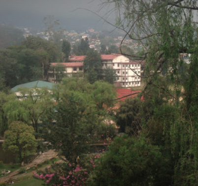 Pine Mount School