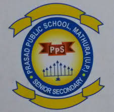 Prasad Public School