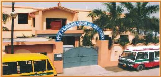 Prof Rajendra Singh Pub School