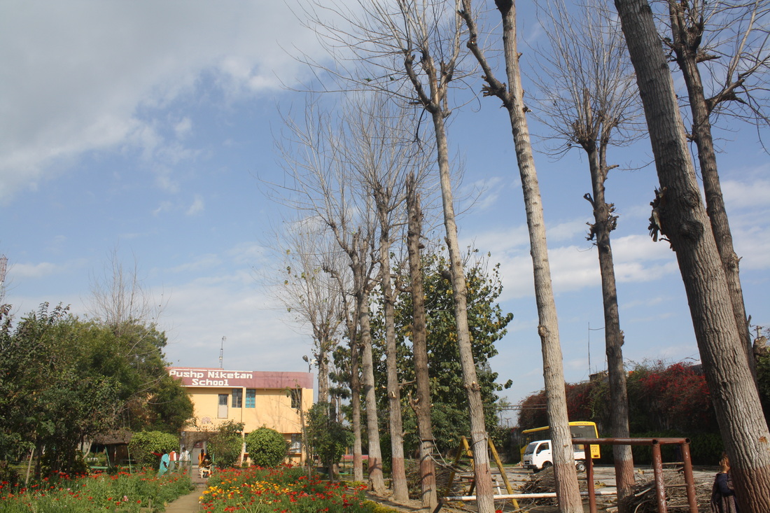 Pushp Niketan School