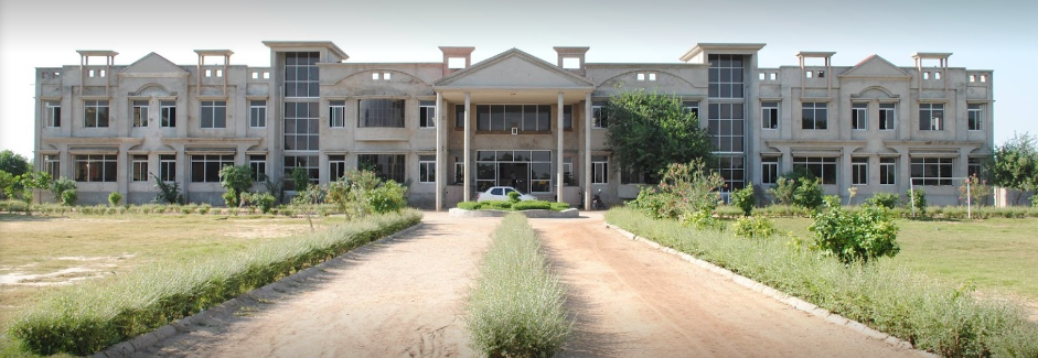 Rana International School