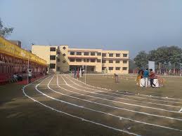 Roots International School