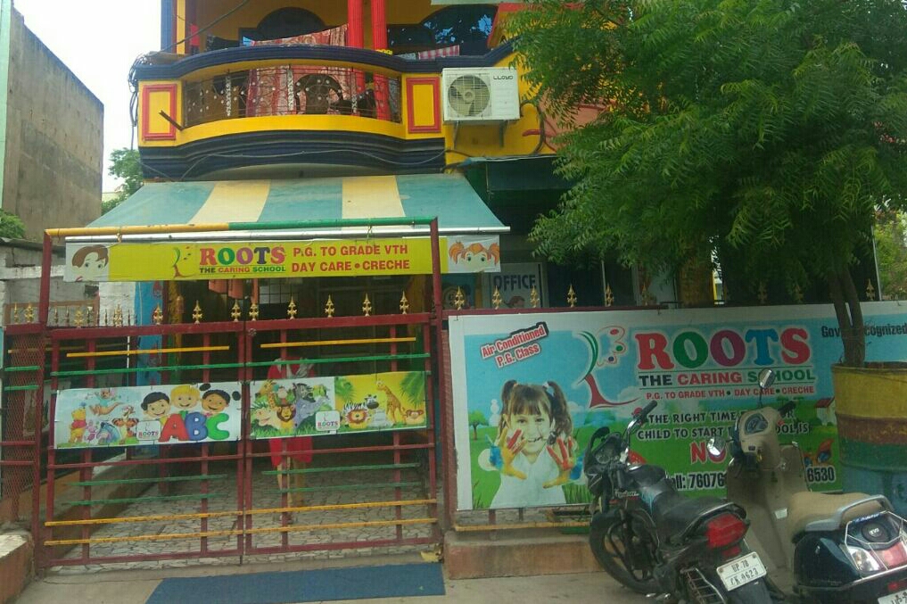 Roots The Caring School