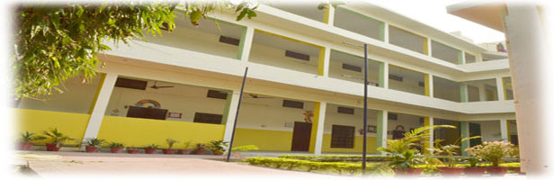 Rrp Public School