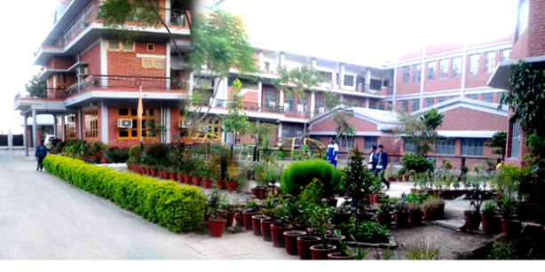SBN International School