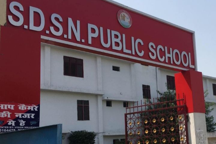 S D S N Public School