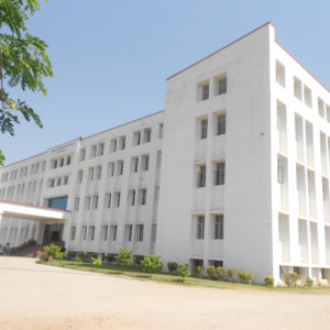 Sine International School