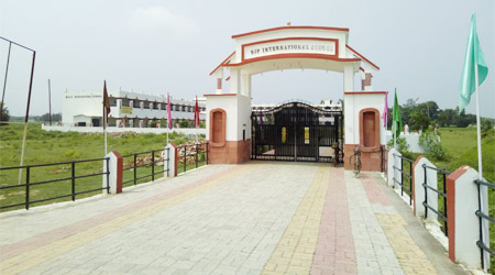 S J P International School