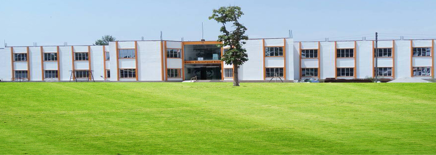Soniya International School