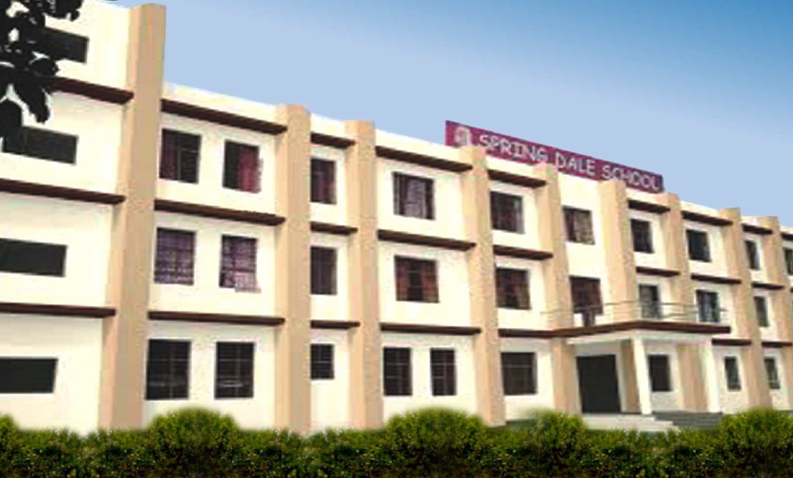 Spring Dale School