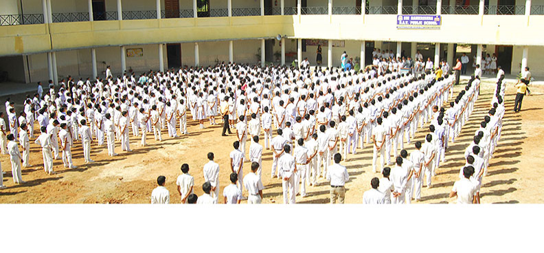 Srk Dav Public School
