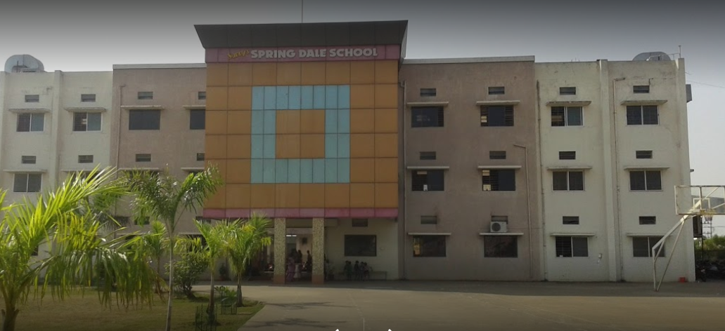 Sunny's Spring Dale School