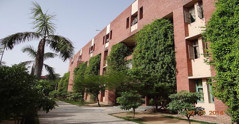 The Banyan Tree School