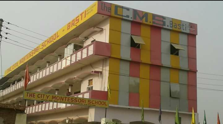 The City Montessori School