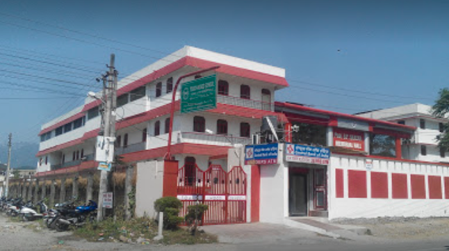 Touch Wood School