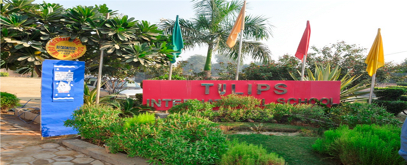 Tulips International School