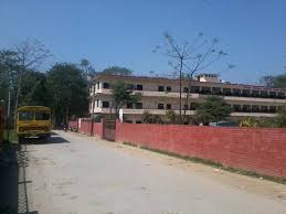 Vibgyor School