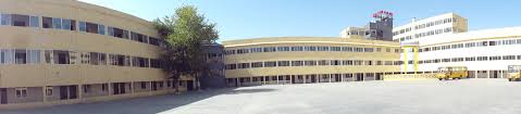 Vidya Bhumi Public School