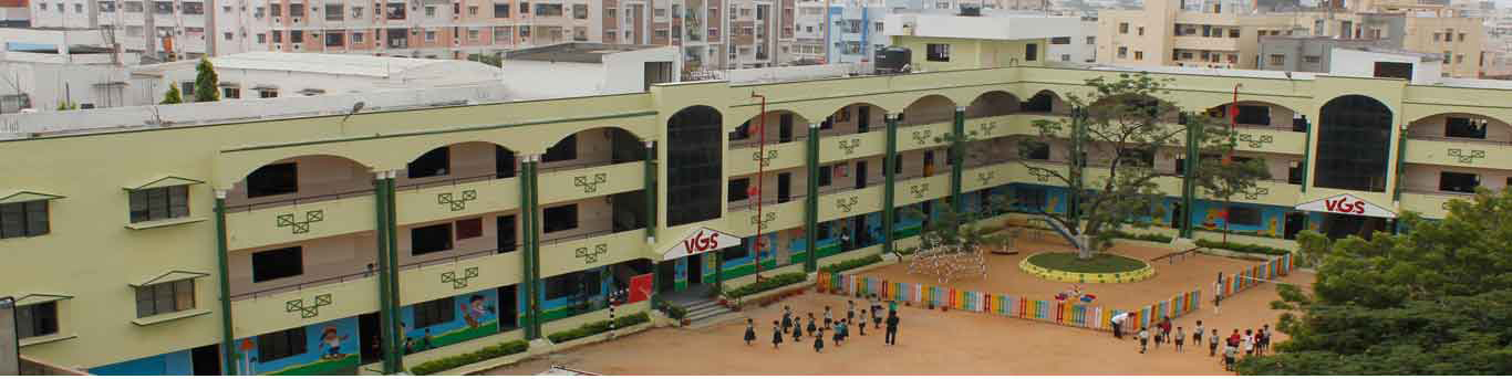 Vidyanjali Grammar School
