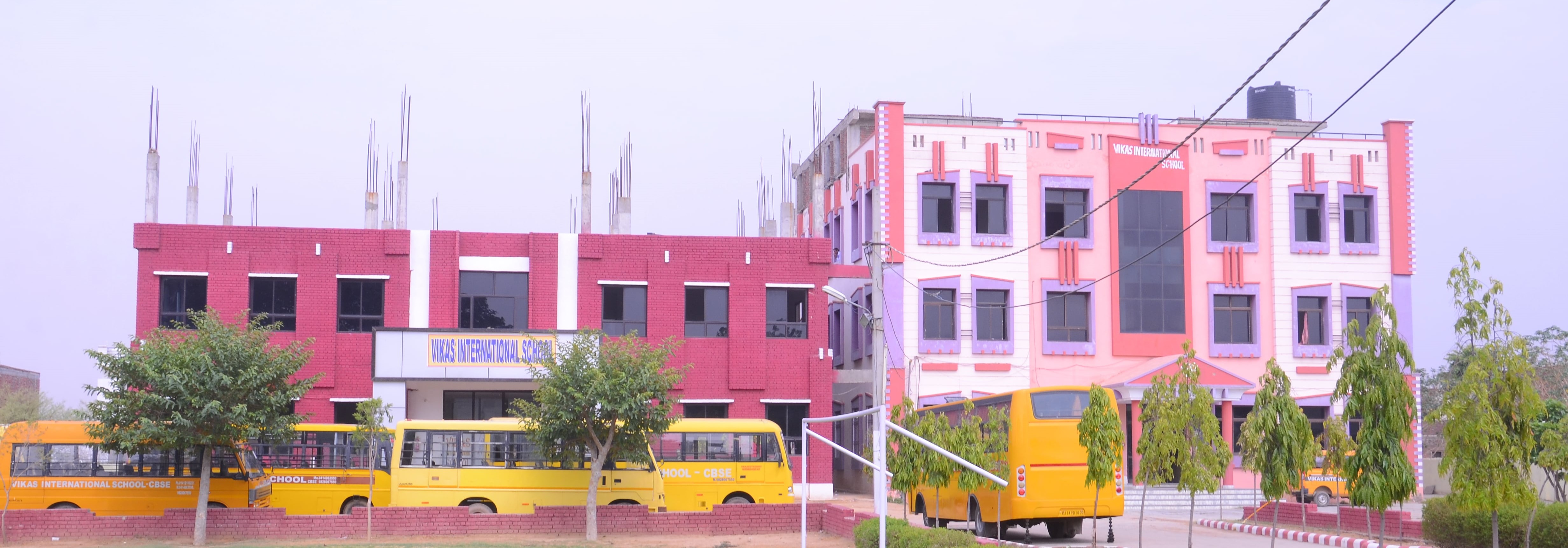 Vikas International School
